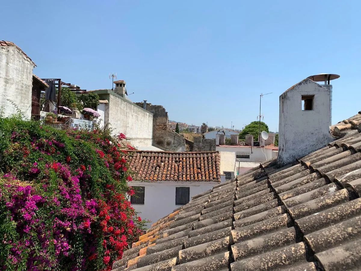 Remedios Property Marbella Spain