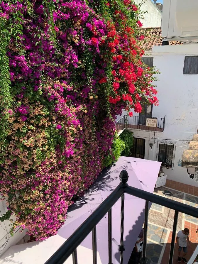 Remedios Property Marbella Spain